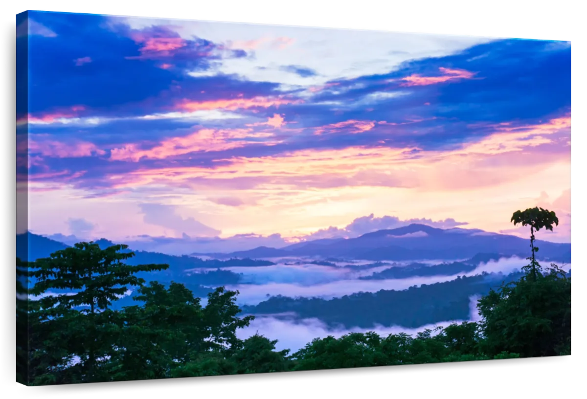 Danum Valley Pastel Sunrise