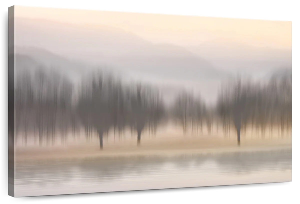 Early Morning II