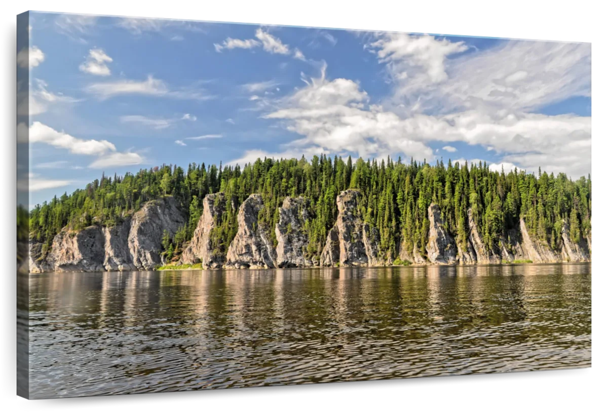 Virgin Komi Forests In Russia