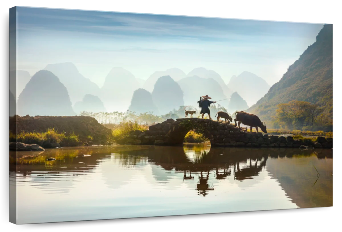 Chinese Buffalo Farmer