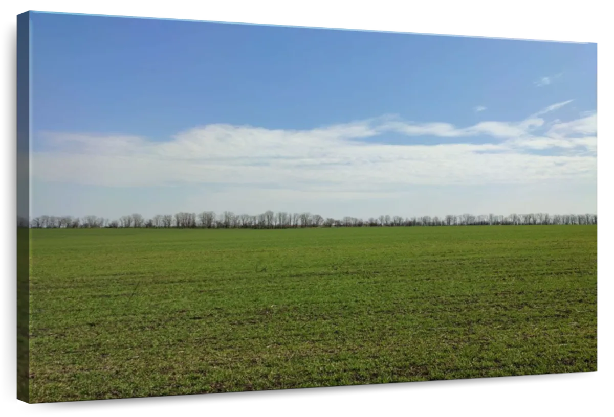 Skyline From The Fields