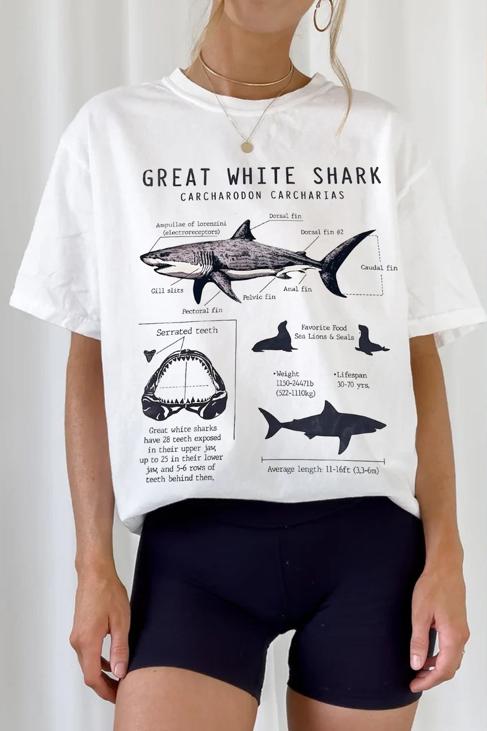 New T-Shirt Shark  Merch, Shirt Shark