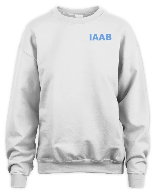 Drake IAAB Tour Merch Drake Call Your Mama & Tell Her You Love Her Sweatshirt