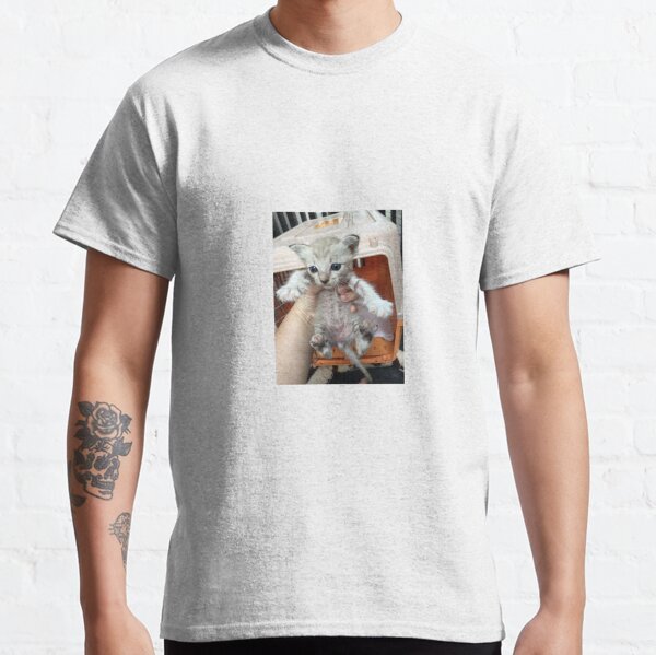 Little newborn kitten with blue eyes Classic T-Shirt