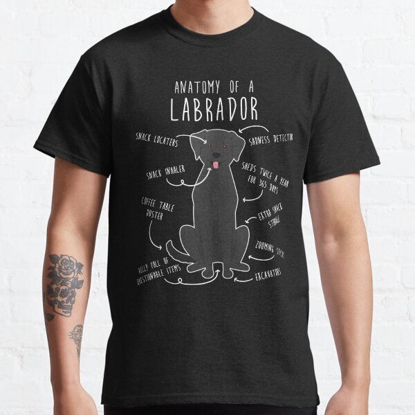 Black Labrador Retriever Dog Anatomy Classic T-Shirt