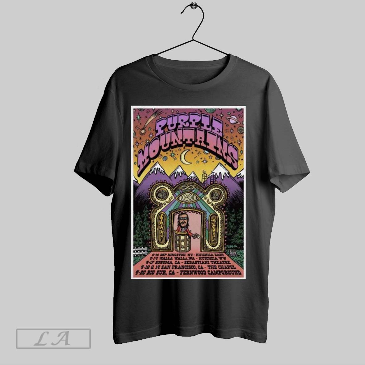 Official Purple Mountains Summer Tour 2025 Poster Shirt